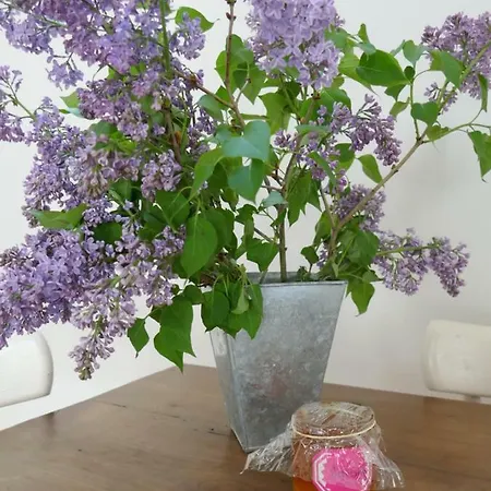 Centre Historique Calme&cosy Appartement Tours
