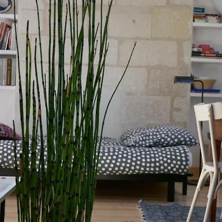 Centre Historique Calme&cosy Tours